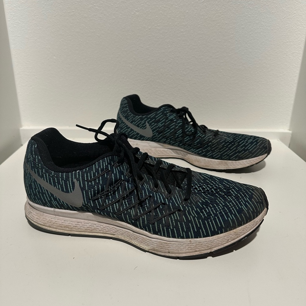 Nike Men's Pegasus
